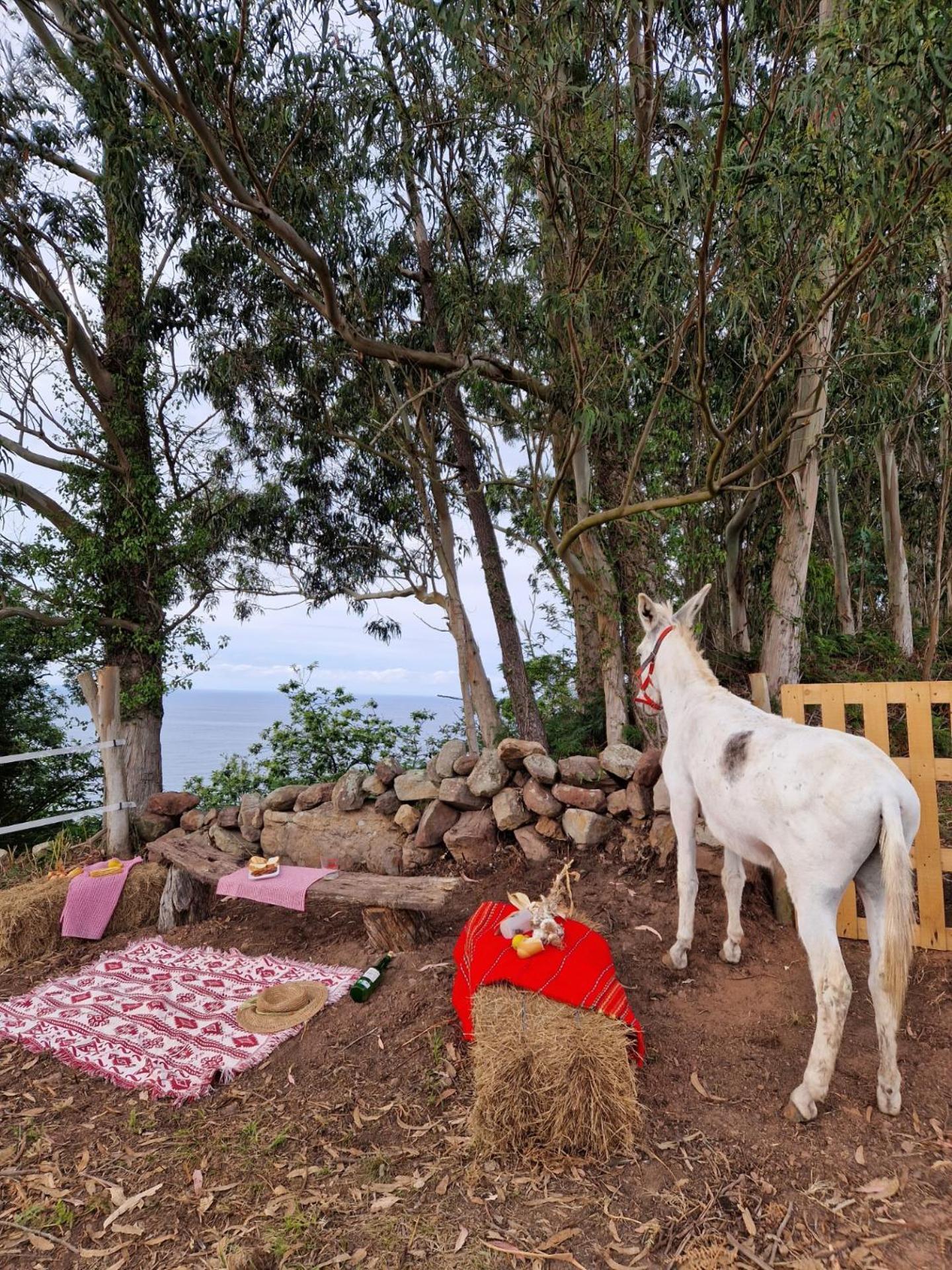 Turismo Rural El Piensu فِيافيثيوسّا المظهر الخارجي الصورة
